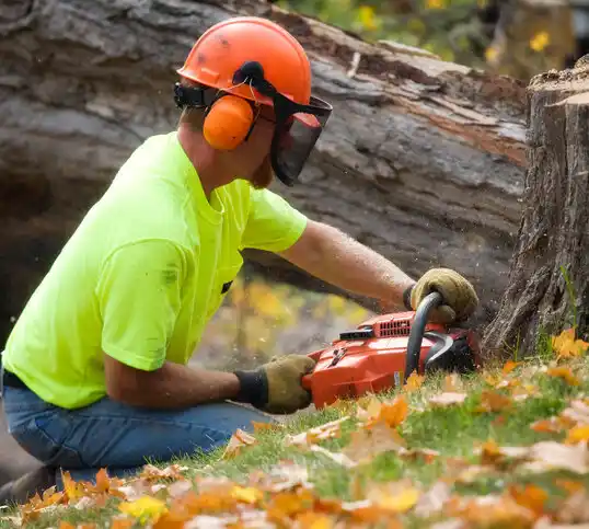 tree services Ellenboro